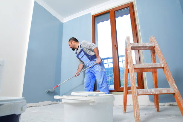 Best Mold Odor Removal Services  in Mcnary, AZ